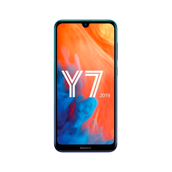 Y7 2019